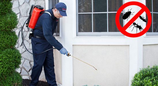 Yamanlar Hamam Böceği İlaçlama böcek ilaçlama ve haşere kontrolü — ilaclama-tr.com
